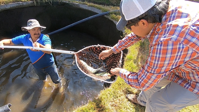 Captura de pantalla (742).png